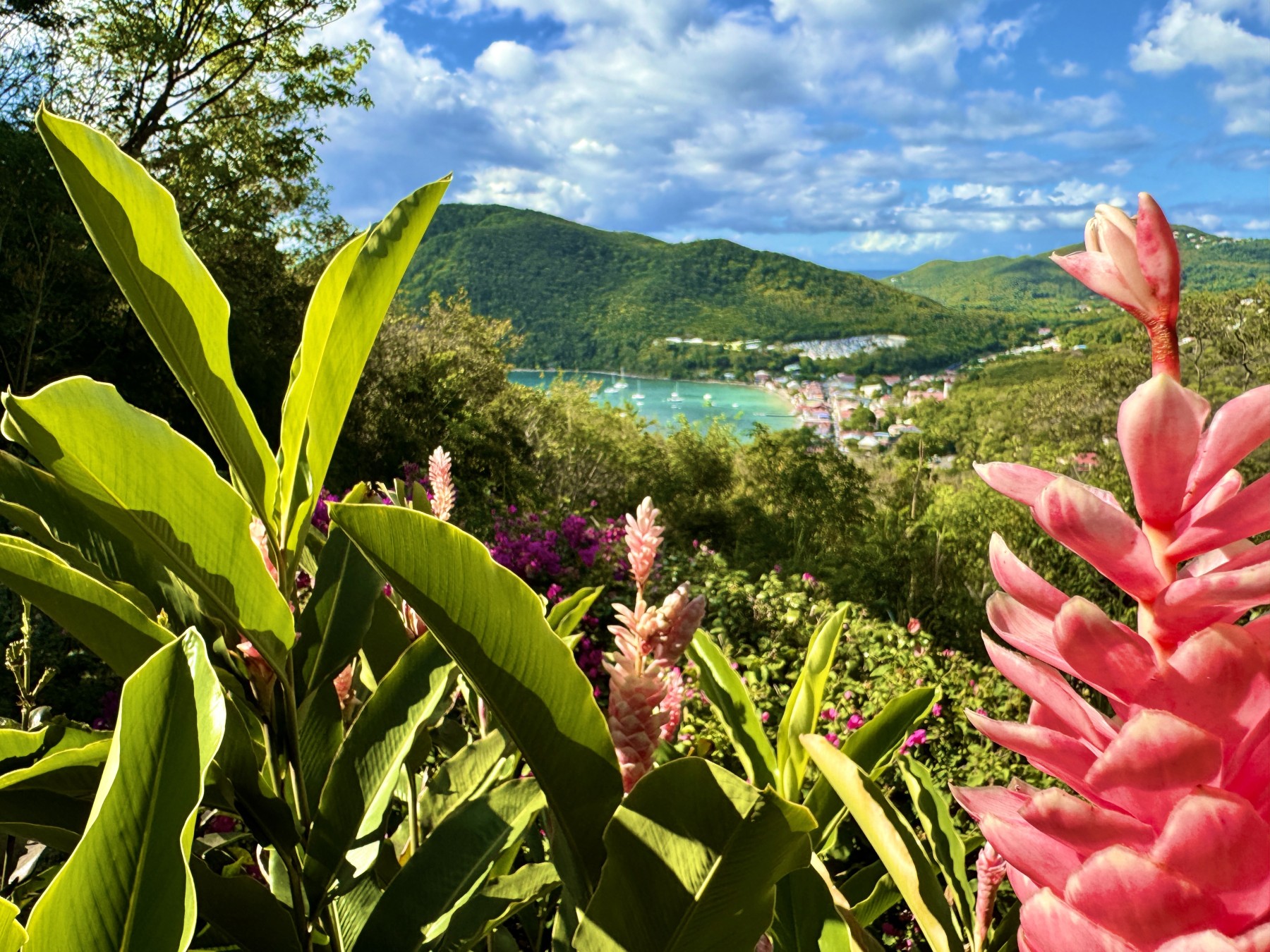 Au Jardin des Colibris